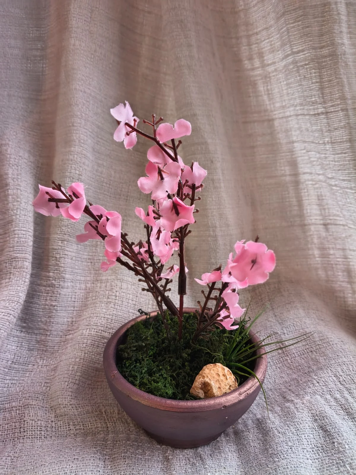 Sakura em Vaso